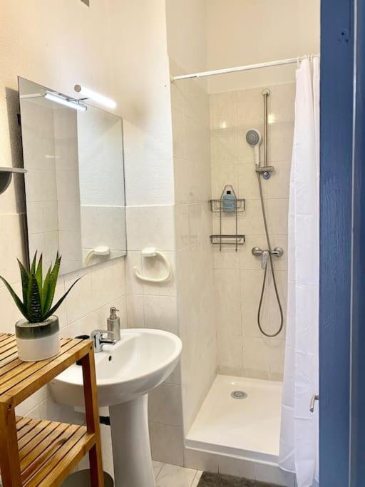 Appartement Typique Nicois En Plein Centre Ville 尼斯 外观 照片