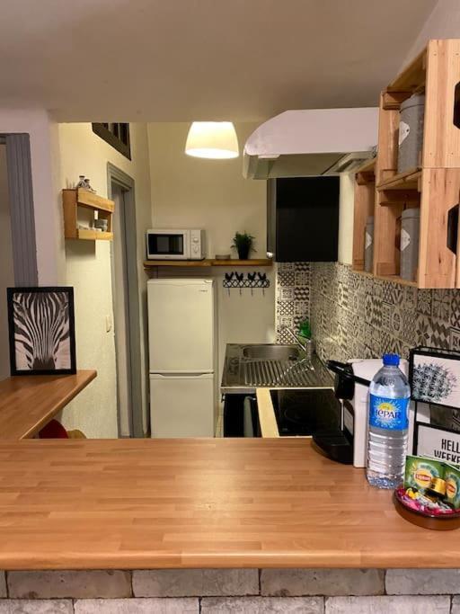 Appartement Typique Nicois En Plein Centre Ville 尼斯 外观 照片