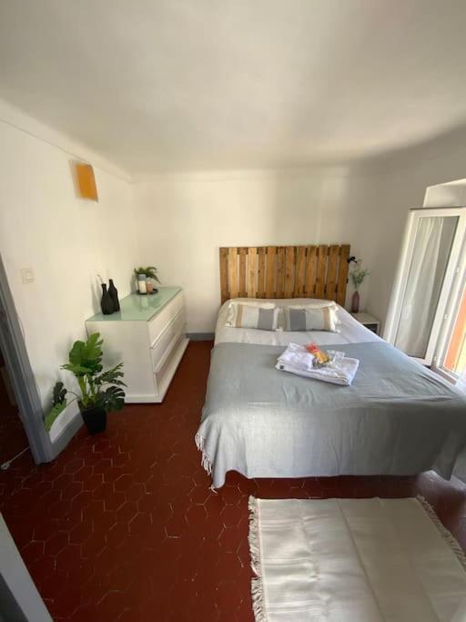 Appartement Typique Nicois En Plein Centre Ville 尼斯 外观 照片